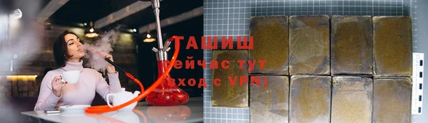 прущие грибы Каменногорск