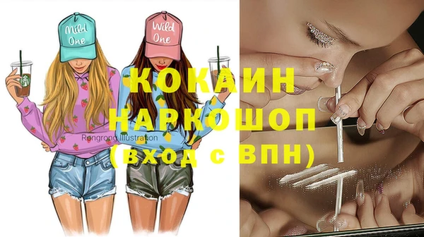 прущие грибы Каменногорск