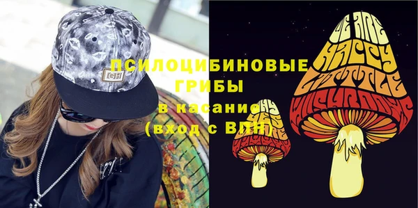 a pvp Инсар