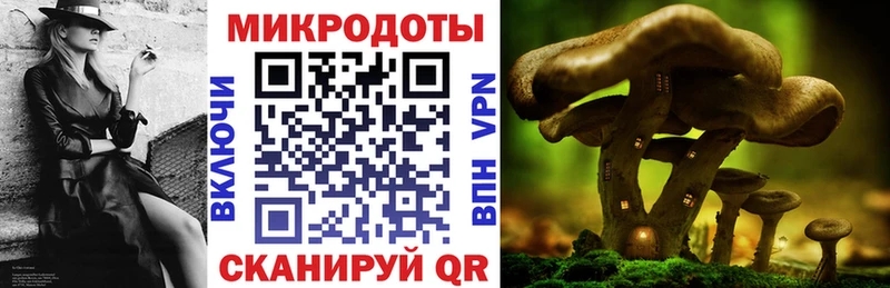 Псилоцибиновые грибы мицелий  Купить  Ярцево 